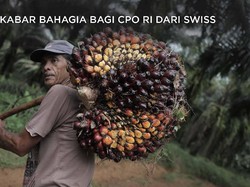 Good News! Ada 'Angin Surga' dari Swiss untuk CPO NKRI