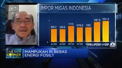 Agar BI Bebas Energi Fosil, Ini Saran Faisal Basri