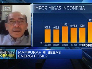 Agar BI Bebas Energi Fosil, Ini Saran Faisal Basri