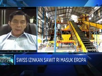CPO Diizinkan Masuk Swiss, Pengusaha: Branding Sawit RI Naik