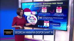 Secercah Harapan Ekspor Sawit RI