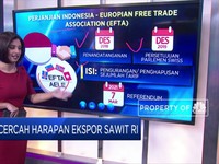 Secercah Harapan Ekspor Sawit RI