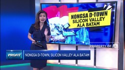 Nongsa D-Town, Silicon Valey Ala Batam