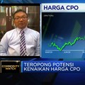 Ekonom Proyeksi Harga CPO 2021 Bisa di Kisaran USD 730/ton