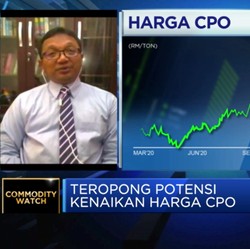 Ekonom Proyeksi Harga CPO 2021 Bisa di Kisaran USD 730/ton