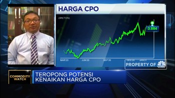 Ekonom Proyeksi Harga CPO 2021 Bisa di Kisaran USD 730/ton