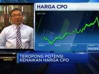 Ekonom Proyeksi Harga CPO 2021 Bisa di Kisaran USD 730/ton