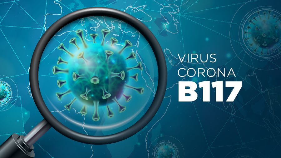 Ilustrasi/ Virus Corona B117