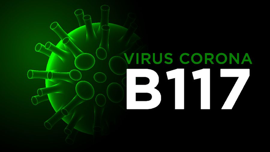 Ilustrasi/ Virus Corona B117
