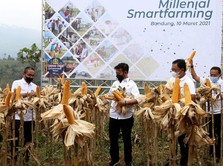 Millenial Smartfarming, Upaya BNI Kawal Pertanian Masa Depan