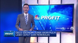 OECD: Vaksin & Mega Stimulus Percepat Pemulihan Ekonomi Dunia