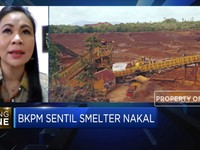 APNI Optimistis Akan Terjadi Over Demand Bijih Nikel