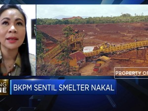 APNI Optimistis Akan Terjadi Over Demand Bijih Nikel