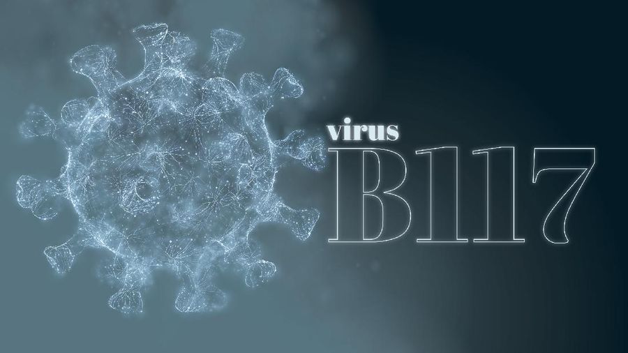 Virus B117