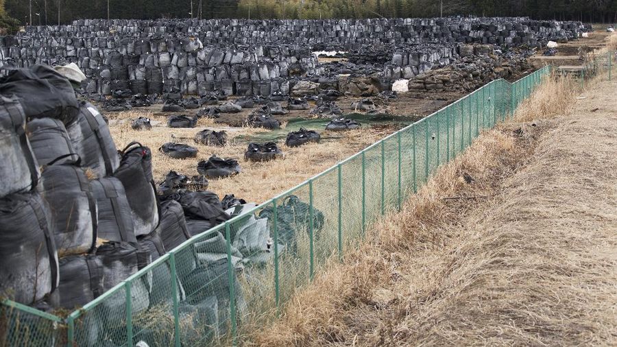 A statue stands surrounded by weeds at a park in the exlcusion zone in Tomioka town, Fukushima prefecture, northeastern Japan, Friday, Feb. 26, 2021. The no-go zone sits on its northeastern corner within about 10 kilometers (6 miles) of the wrecked Fukushima Daiichi nuclear power plant where massive radioactive fallouts spewed in 2011. (AP Photo/Hiro Komae)