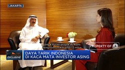 Timur Jauh, Amerika Latin dan Afrika, Fokus Bisnis DP World