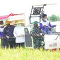 Trio Erick, M. Lutfi dan Syahrul 'Nyebur' ke Sawah, Ada Apa?