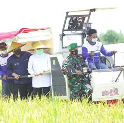 Trio Erick, M. Lutfi dan Syahrul 'Nyebur' ke Sawah, Ada Apa?