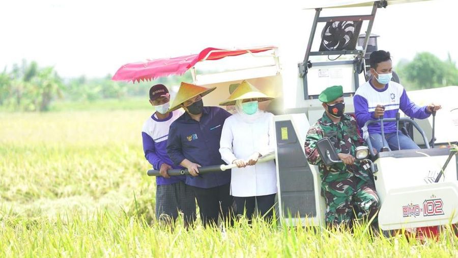 Kunjungan Bersama MenTan, MenDag dan MenBUMN dalam peluncuran ekspor hasil pertanian ke 27 negara spt sarang burung, kopi, jamur, cengkeh, okra dan lain2 serta meninjau peninjauan awal panen raya beras. Ist