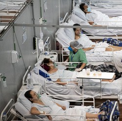 RI Tertarik Beli, Berapa Harga Obat Covid-19 Molnupiravir?