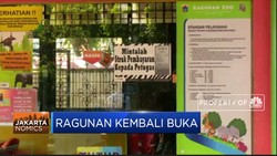 Catat! Kebun Binatang Ragunan Kembali Dibuka