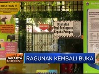 Catat! Kebun Binatang Ragunan Kembali Dibuka