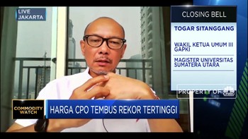 Imbas Kenaikan Harga Minyak Nabati, CPO Tembus Rekor