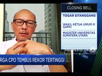 Imbas Kenaikan Harga Minyak Nabati, CPO Tembus Rekor