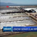 Sat Set! RI Geber Produksi Garam dengan Anggaran 'Mini'