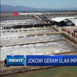 Sat Set! RI Geber Produksi Garam dengan Anggaran 'Mini'