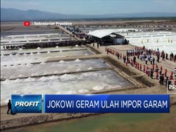 Jokowi Geram Ulah Impor Garam