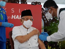 Demi Capai Herd Immunity, RI Butuh Lebih Dari 1 Jenis Vaksin