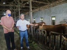 Digitalisasi Tak Terelakkan, BRI Kuatkan Ekosistem UMKM