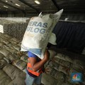 Harga Beras Terus Terbang, Saatnya Bulog Kosongkan Gudang?