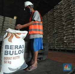 Waduh! Buwas Cemas RI Terancam Impor Beras Tahun ini