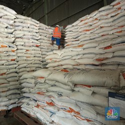 Tanpa Impor, Harga Beras Turun