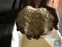 Bantah Impor Beras, Jokowi: Beras Petani Akan Diserap Bulog