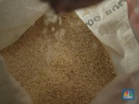 Ironi RI Negara Agraris: Kekurangan Stok Hingga Impor Beras!
