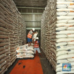 PBB: Harga Beras Dunia Naik, di Indonesia Bagaimana?