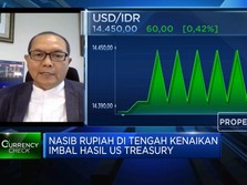 BI Yakin Ruang Penguatan Rupiah Masih Besar, Ini Penopangnya
