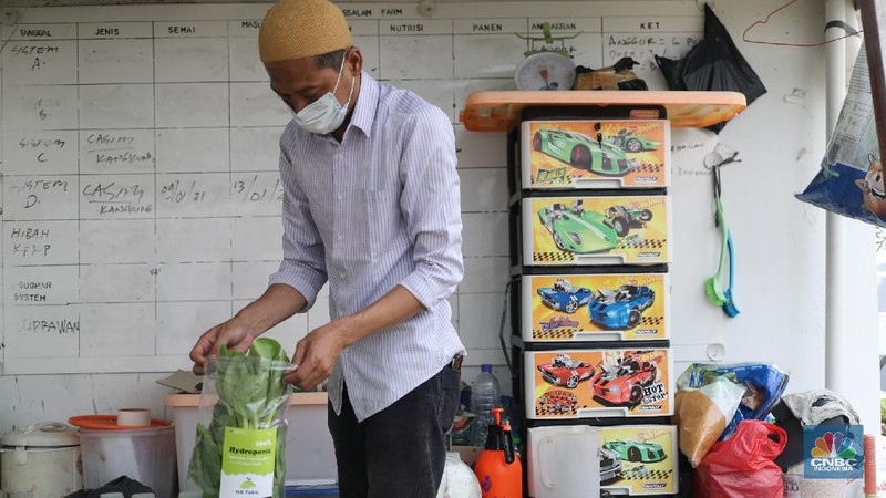 Pengurus masjid urban farming atau pertanian perkotaan membersihkan dan memanen sayuran dengan sistem hidroponik yang ditanam di lahan terbuka di atas Masjid Jami Baitussalam, Taman Sari, Jakarta, Jumat (19/3/2021). Sayur-sayuran tersebut dirawat oleh pengurus masjid,adapun tanaman yang ditanam berupa cabai, kangkung, jahe merah,anggur dll. Pantauan CNBC Indonesia masjd mempunyai 6 sistem dengan 2000 lubang yang telah ditanam cesim, pakcoy dan kangkung. Menurut Yayan Sofyan (43) 