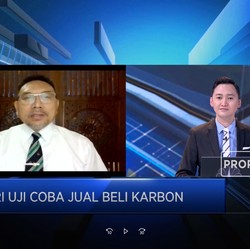 Atasi Perubahan Iklim, RI Uji Coba Jual Beli Karbon