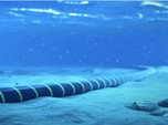 Perusahaan Garap Proyek Kabel Bawah Laut Melintas RI Bangkrut