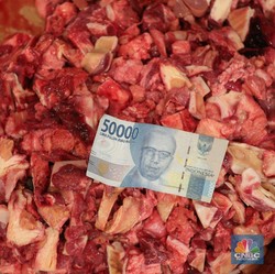 Ratusan Ton Daging Impor Masuk RI, Pedagang Komentar Begini!