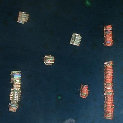 Awas Konfrontasi! AS Warning China di Laut China Selatan
