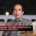 Presiden Jokowi Pastikan Tak Impor Beras Hingga Juni 2021