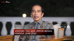 Presiden Jokowi Pastikan Tak Impor Beras Hingga Juni 2021