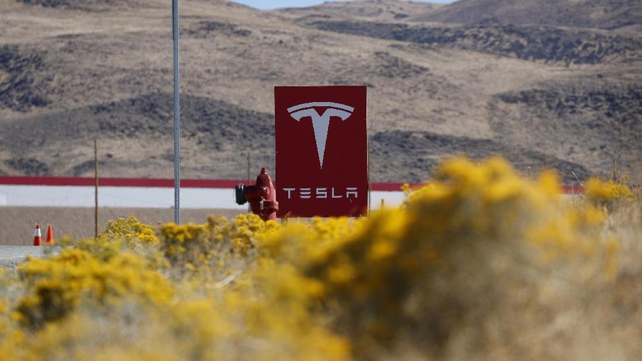 Tesla. (AP/John Locher)