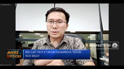Kulik Kinerja Saham Big Cap Yang 5 Tahun Sahamnya Tekor