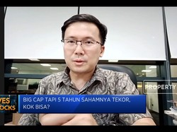 Kulik Kinerja Saham Big Cap Yang 5 Tahun Sahamnya Tekor